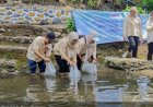 Tebar Benih Ikan, Pasuruan Perkuat Ketahanan Pangan dan Konsumsi Ikan Lokal